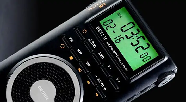 Degen DE-1125 display